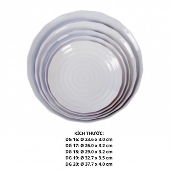 Dĩa Dg 20 - Dg20 -FTC