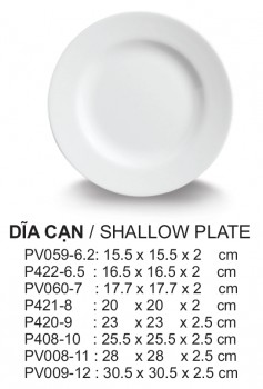 PV008-11 Dĩa cạn 11 (White) - SPW
