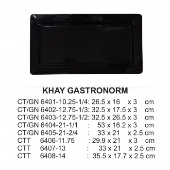 CT/GN6404-21-1/1 Khay 21 (Đen) -  ET