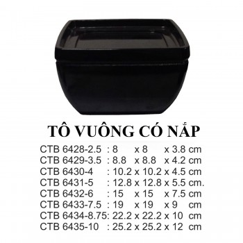 CTB6432-6 Tô Vuông 6 (Đen) -  ET